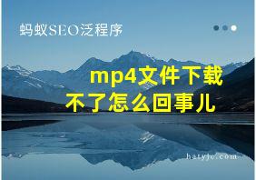 mp4文件下载不了怎么回事儿