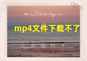 mp4文件下载不了