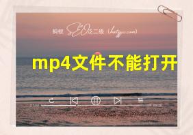 mp4文件不能打开