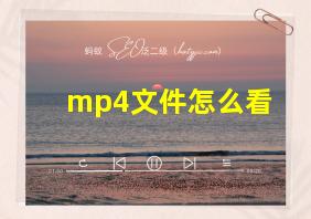 mp4文件怎么看