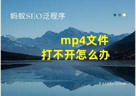 mp4文件打不开怎么办