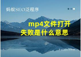 mp4文件打开失败是什么意思