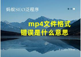 mp4文件格式错误是什么意思