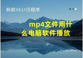 mp4文件用什么电脑软件播放