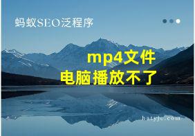 mp4文件电脑播放不了