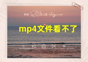 mp4文件看不了