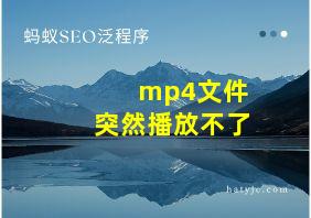 mp4文件突然播放不了