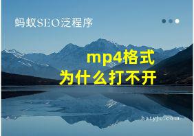 mp4格式为什么打不开