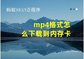 mp4格式怎么下载到内存卡