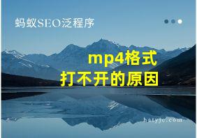 mp4格式打不开的原因