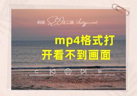 mp4格式打开看不到画面