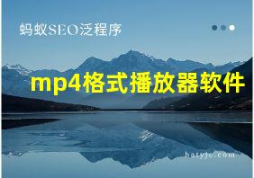 mp4格式播放器软件