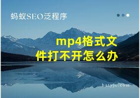 mp4格式文件打不开怎么办