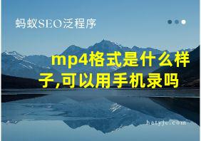 mp4格式是什么样子,可以用手机录吗