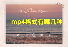 mp4格式有哪几种