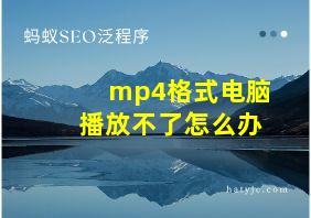 mp4格式电脑播放不了怎么办