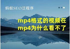 mp4格式的视频在mp4为什么看不了