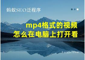 mp4格式的视频怎么在电脑上打开看