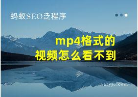 mp4格式的视频怎么看不到