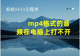 mp4格式的音频在电脑上打不开