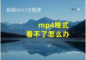 mp4格式看不了怎么办