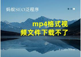 mp4格式视频文件下载不了