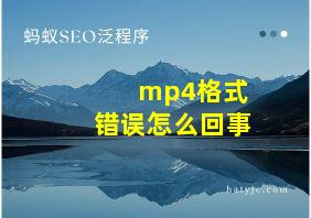 mp4格式错误怎么回事