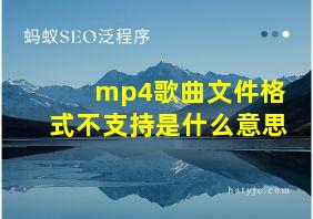 mp4歌曲文件格式不支持是什么意思