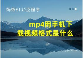 mp4用手机下载视频格式是什么