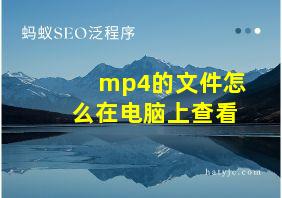 mp4的文件怎么在电脑上查看