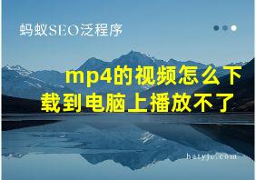 mp4的视频怎么下载到电脑上播放不了