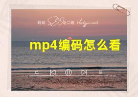 mp4编码怎么看