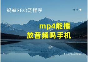 mp4能播放音频吗手机