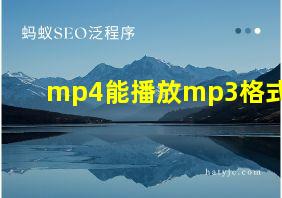 mp4能播放mp3格式