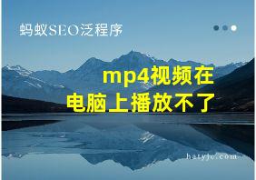 mp4视频在电脑上播放不了