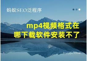 mp4视频格式在哪下载软件安装不了