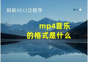 mp4音乐的格式是什么