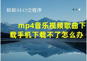 mp4音乐视频歌曲下载手机下载不了怎么办