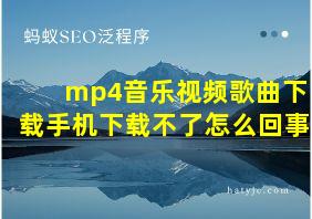 mp4音乐视频歌曲下载手机下载不了怎么回事