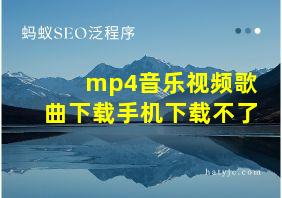 mp4音乐视频歌曲下载手机下载不了