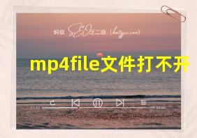 mp4file文件打不开