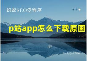 p站app怎么下载原画