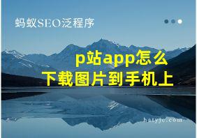 p站app怎么下载图片到手机上