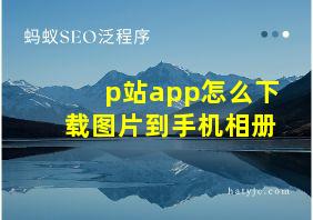 p站app怎么下载图片到手机相册