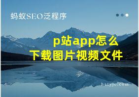 p站app怎么下载图片视频文件