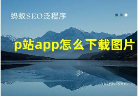 p站app怎么下载图片