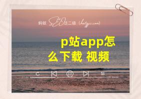 p站app怎么下载 视频