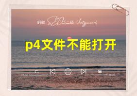 p4文件不能打开