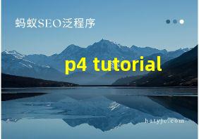 p4 tutorial