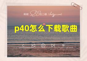 p40怎么下载歌曲